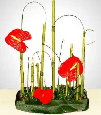 Anthura Flower Arrangement