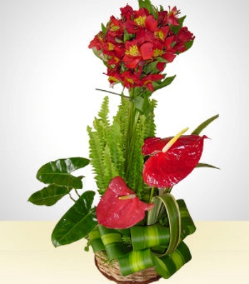 Anthura Flower Bouquet