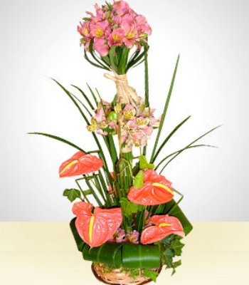 Anthurium And Alstroemerias Flower Basket