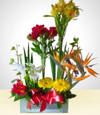 Birds Of Paradise And Alstroemerias In Bowl