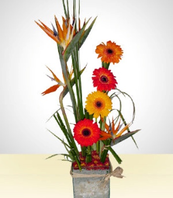 Birds Of Paradise And Daisy Flowers