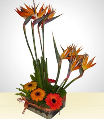 Birds Of Paradise And Gerbera Bouquet