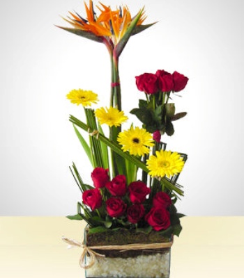 Birds Of Paradise Mix Bouquet