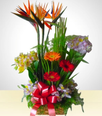 Birds Of Paradise With Mix Flowers