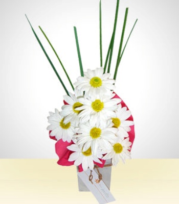 Daisy Flower Arrangement In Vase