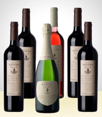 Fine Wine Bottles - Set Of 6