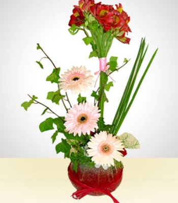 Gerbera Daisies And Alstroemerias In Vase