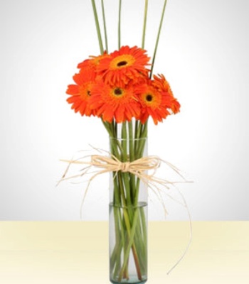 Gerbera Flowers In Glass Vase