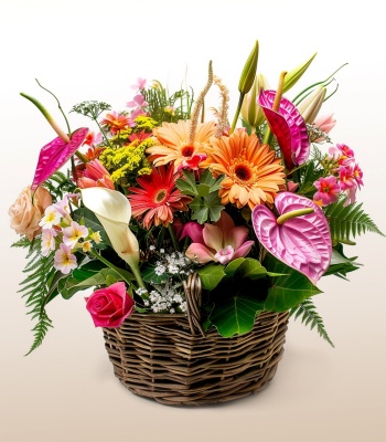 Gerberas, Alstroemeria And Lilies