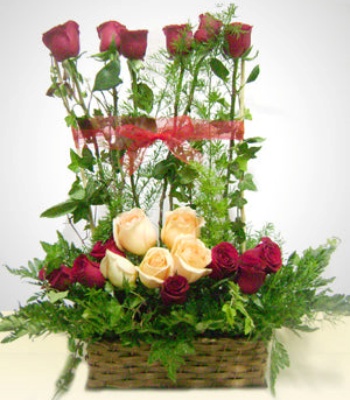 Red Roses In Wicker Basket