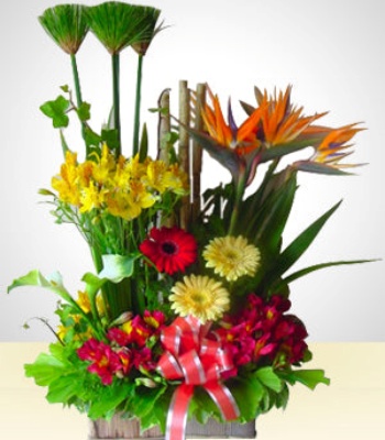 Spring Flowers Arrangement