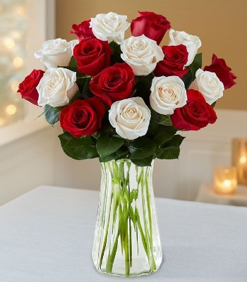18 Red and White Roses