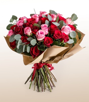 36 Red and Pink Roses