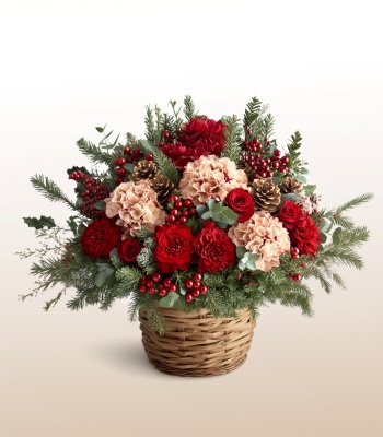 Christmas Carnations and Roses