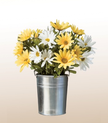 Daisies in Aluminum Vase