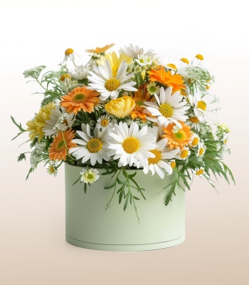 Daisy and Assorted Flower Basket