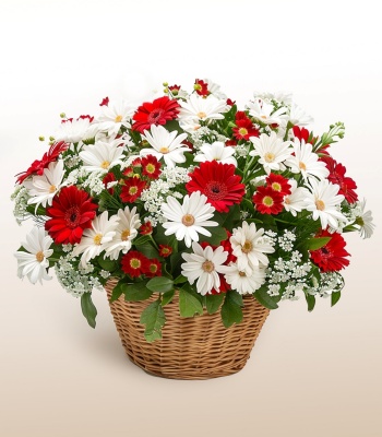 Daisy and Gerbera Flower Basket
