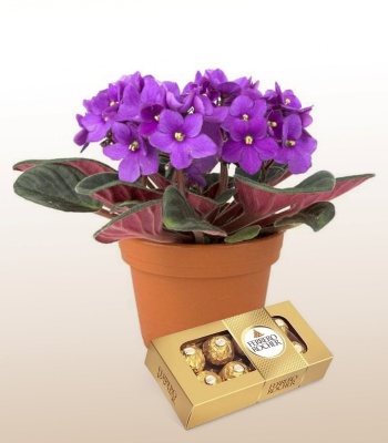 Ferrero Rocher Chocolate Box and Flower Arrangement