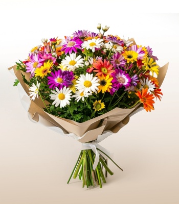 Multi Color Daisy Bouquet - Assorted Daisies