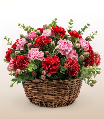 Red & Pink Carnation Flower Bouquet