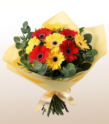 Red and Yellow Gerberas