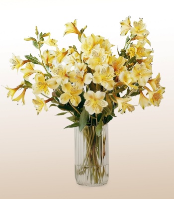 Yellow Alstroemeria�Flower Bouquet