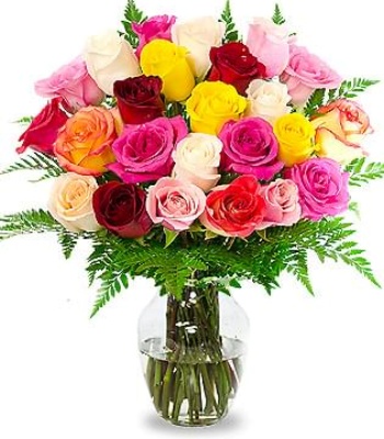 24 Assorted Roses