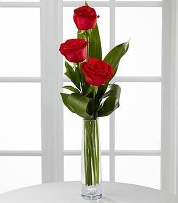 3 Exotic Love Long Stem Red Roses