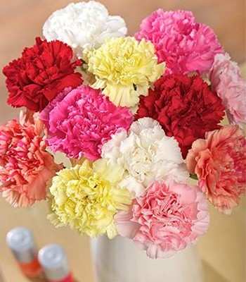 Assorted Carnation Flower Bouquet