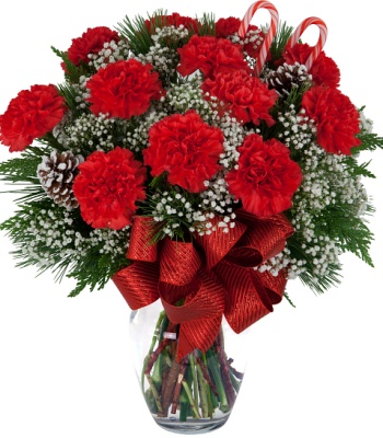 Christmas Carnation Flowers