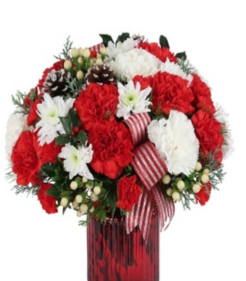 Christmas Carnations Flower Arrangement in Vase