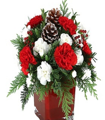 Christmas Flowers In Shiny Red Vase