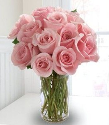 12 Pink Roses