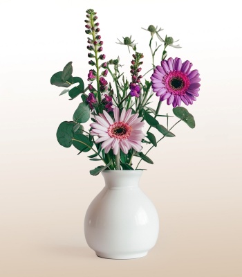 Alstroemeria And Roses In Vase