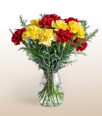 Assorted Carnation Bouquet