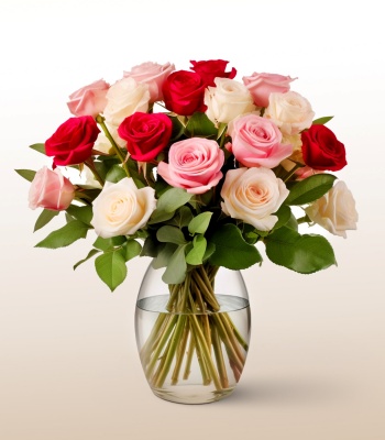 Assorted Roses - Red White And Pink