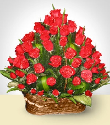 100 Red Roses