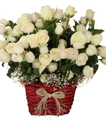 100 White Rose Basket