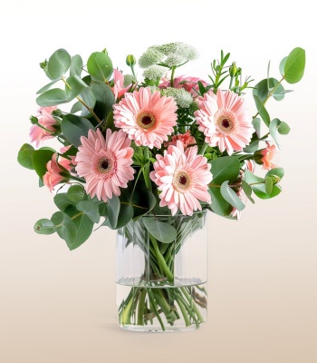 12 Pink Gerberas