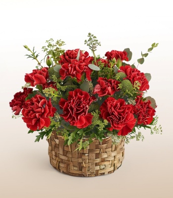 12 Red Carnations