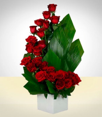 24 Red Roses Arrangement