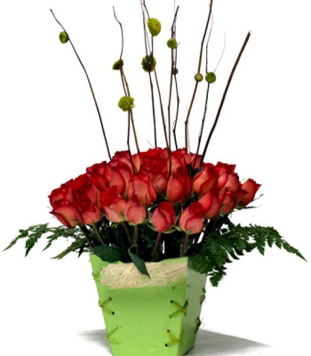 50 Red Roses With Chrysanthemum