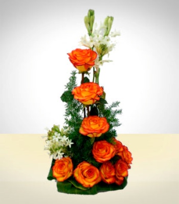 Dozen Orange Roses