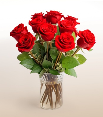 12 Red Roses