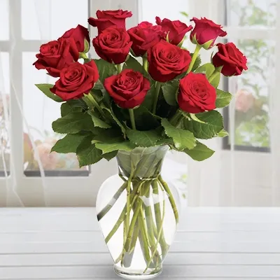 12 Red Roses