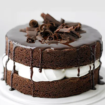 Chocolate Sponge Cake