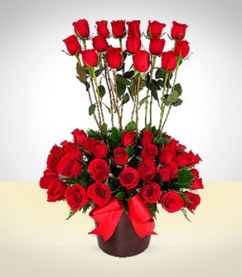 Dozen Mix Roses