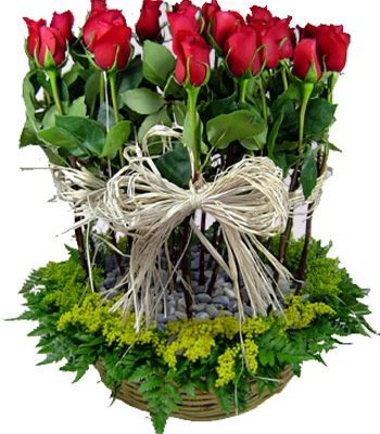 Red Carnation Arrangement