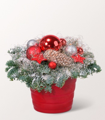 Christmas Arrangement Frohe Weihnachten