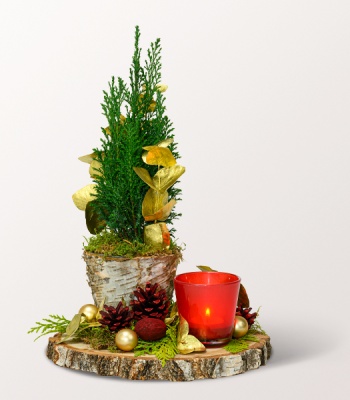 Mix Flower Arrangement - Wintergedicht